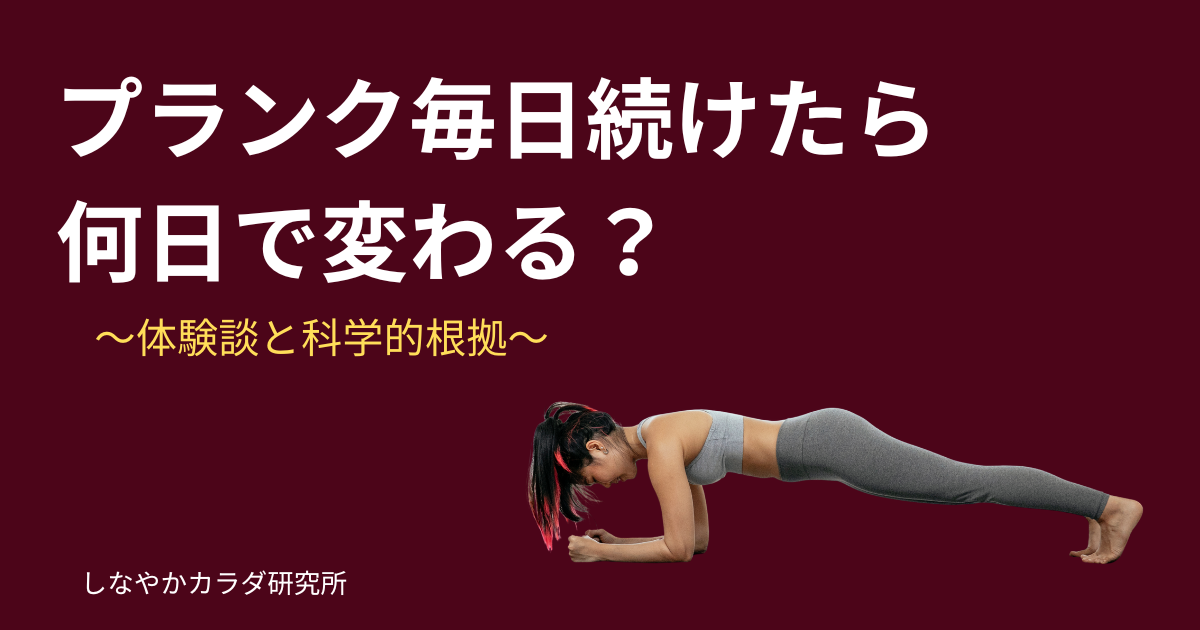 プランクを毎日続けた効果と変化を解説する記事のアイキャッチ画像