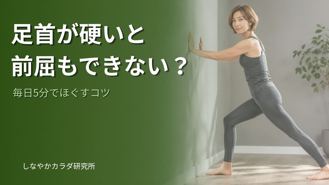 足首の硬さが前屈に影響する理由と毎日5分でできる足首ほぐしストレッチを解説する記事のアイキャッチ